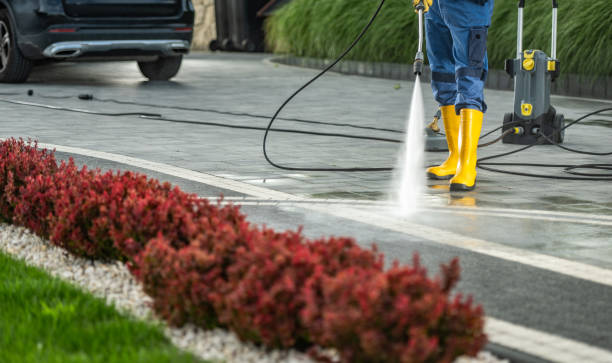 Best Dumpster Area Cleaning  in Sandy Oaks, TX